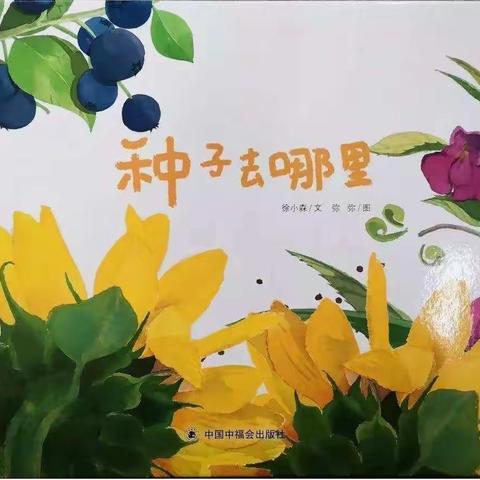 《种子去哪里》——中部战区总医院幼儿园故事分享