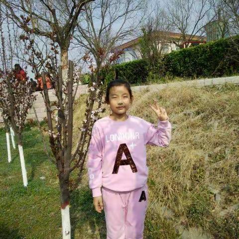 乖宝宝