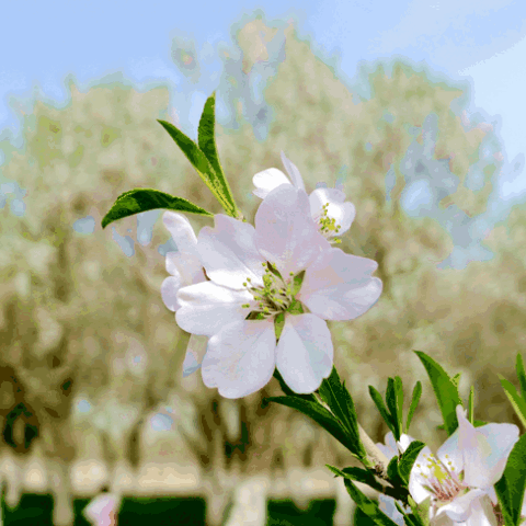 小画匠2021年春季班开班了！