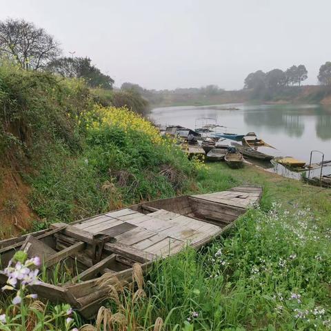 战疫告捷 ，我们相约小画匠！