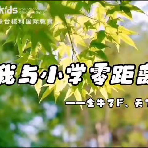盘龙城F.天下幼儿园的美篇