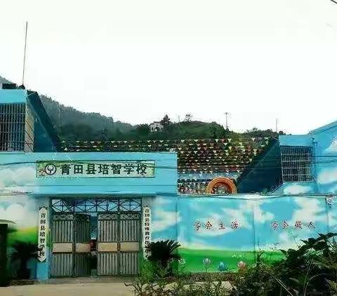 培智学校2021年山海协作暑期远程培训活动