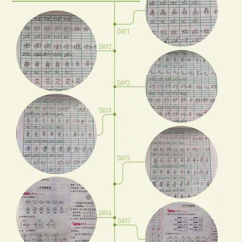 停课不停学，停学不停爱，                    眉县第三实验小学二三班寒假学习生活