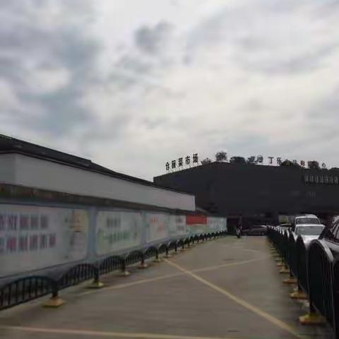 民泰银行丽水分行          储蓄二部走进仓前菜场之二