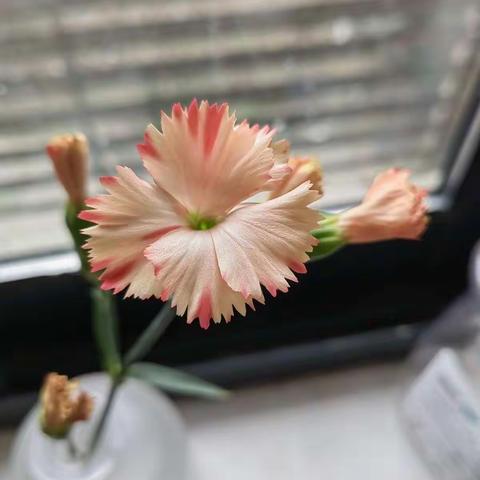 40+的陪伴
