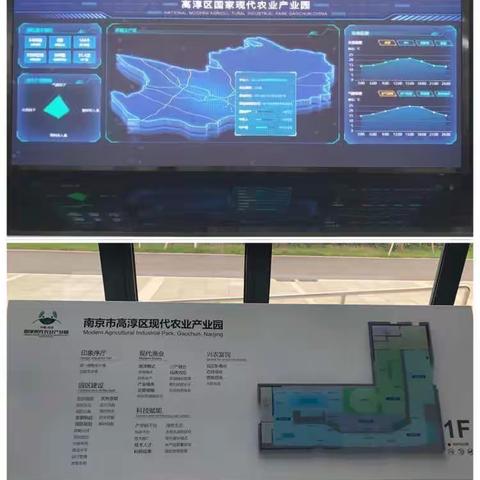 “金融科技助力乡村振兴”省分行带队走进南京市高淳区现代农业产业园