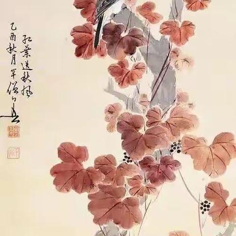 美的享受