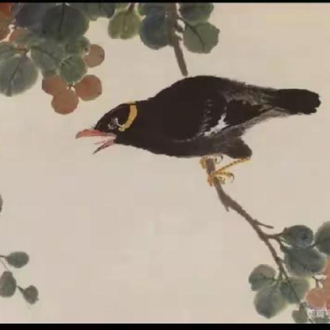 百鸟花草