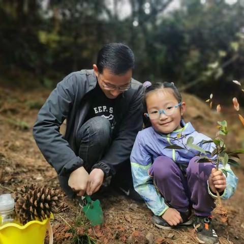 快乐踏春之爸爸妈妈陪我一起植树