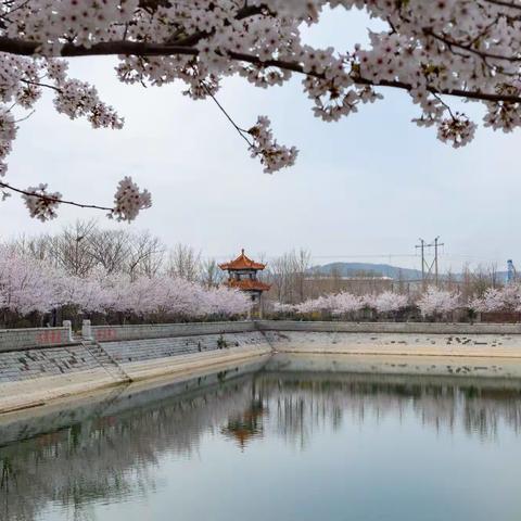 海阳市西古现村清阳园