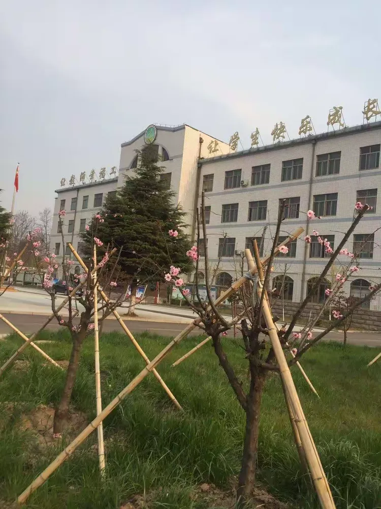高密四中文慧学校:校园春色美,静候你归来