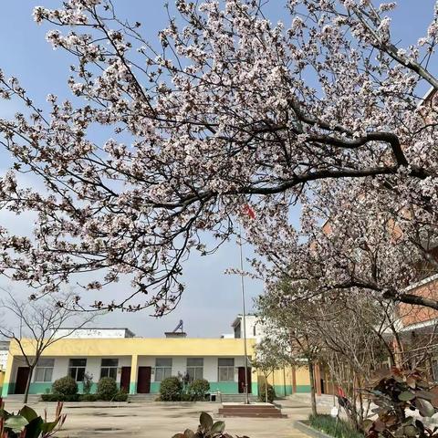 防疫学习齐并进