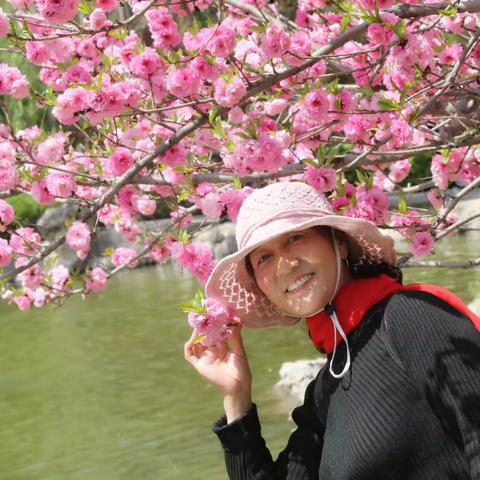 【周末赏花】
