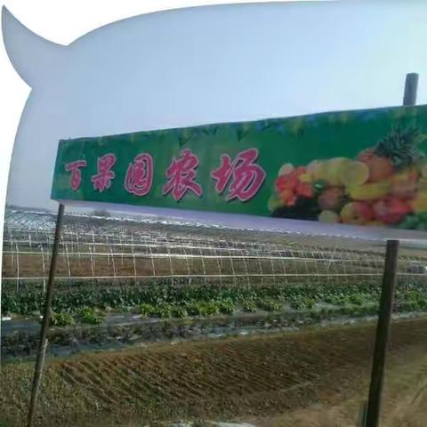 愉快的寒假，从一场草莓采摘开始！