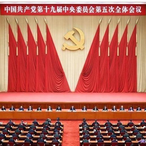 蓝图已绘就 奋进正当时 ---新光小学党支部"十九届五中全会精神"学习活动