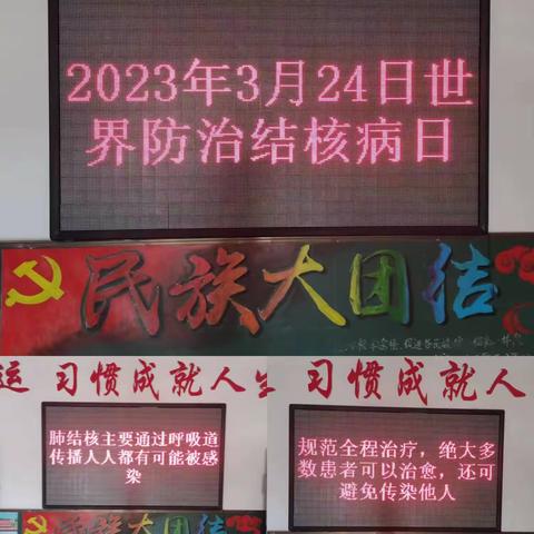 宝日希勒小学开展“生命至上 全民行动 共享健康 终结结核”主题班会