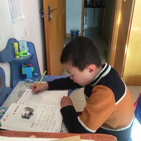 睿睿的快乐假期