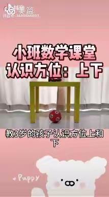 东大小学幼儿园小班线上分享活动