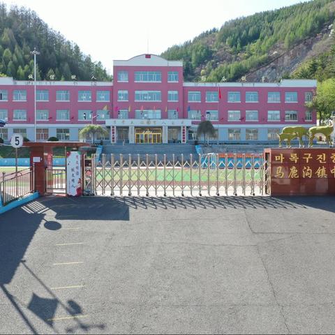 致龙岗中学全体同学的一封信