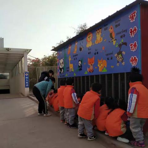 我们的半日活动