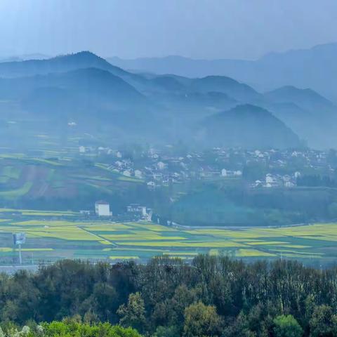 朱鹮家园