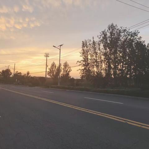 劳动周                       乔丽姿213338