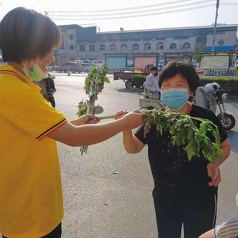 悠悠艾草，浓浓端午情