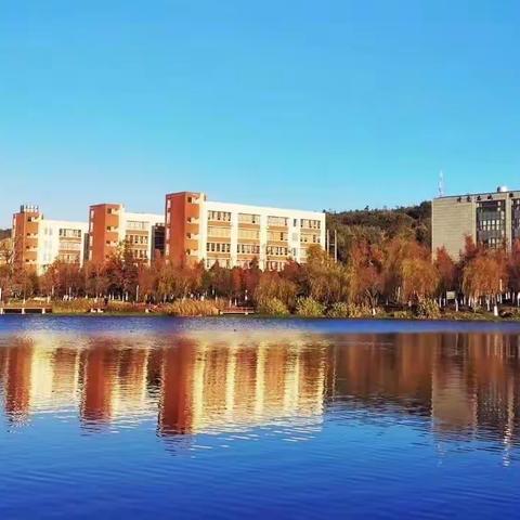 战役中的“女神节”