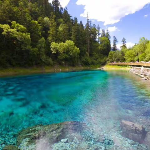 清风掠影 画意神州