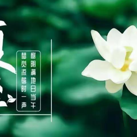 开心六月—走进夏至  李庄学校迎夏至主题活动