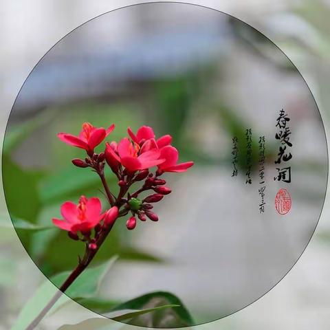 春意正浓，“研”风已雄