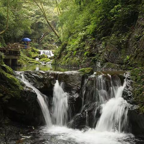 潺潺溪水声，梦似仙境游（黑山谷溪水的魅力）