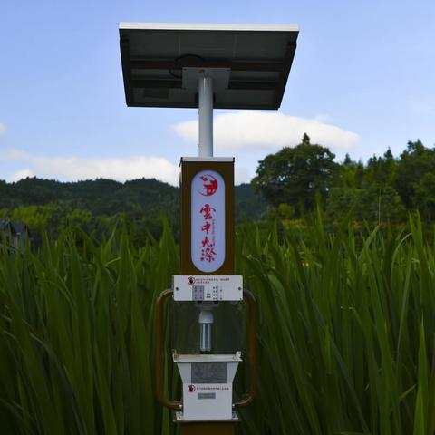 青 色 的 大 漈