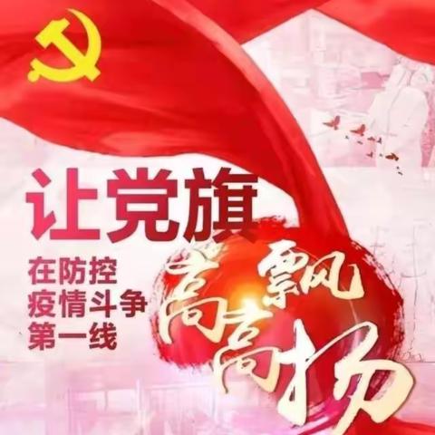 让党旗飘扬在疫情防控一线——进修学校党支部开展“防疫情 党旗红”系列活动