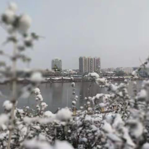 2018.2.1雪景