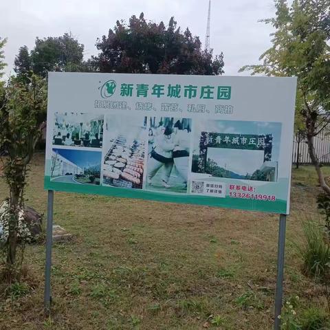 记我校星期五秋游一事