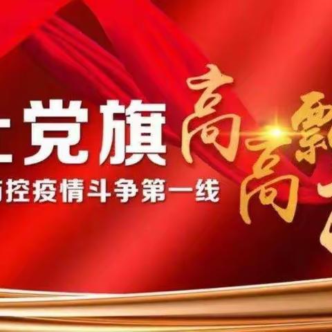 党旗引领！党徽召唤！行动！疫情防控我们在一起！