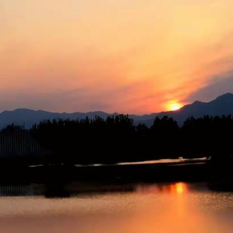 日出日落摄影小组摄影月赛（十一月）参赛作品  夕阳西下几时回