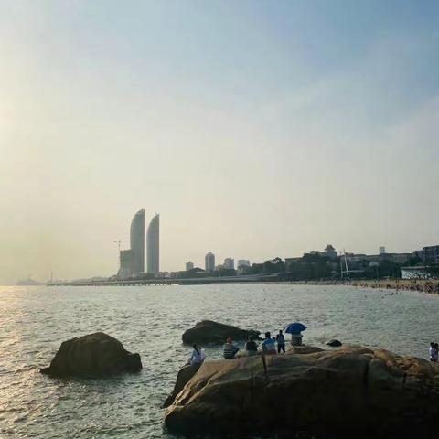 🌴大海啊故乡🌴