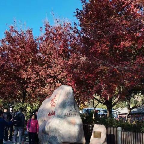 香山叶已红 碧云寺偶寻