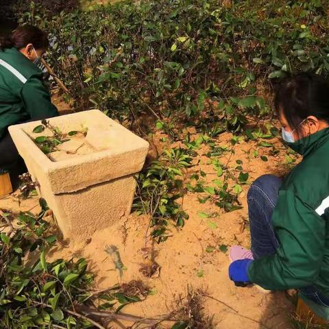 【东城区天宝路街道办事处翡翠华庭社区】不负三月好时光 人居环境整治忙