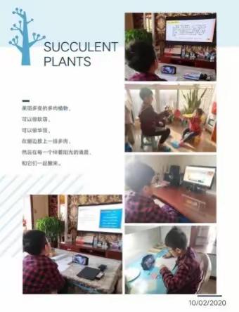 陕西师范大学金泰丝路花城学校“疫情期间扫黑除恶”特色网络主题班会