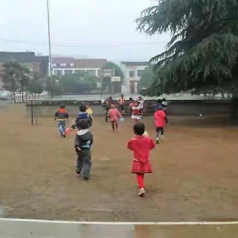 我与柳林二小的“前世”与“今生”