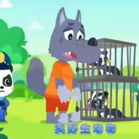 幼儿园中班科学领域——《动物的超级本领》
