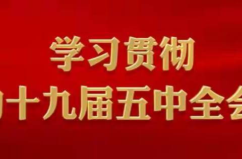 创业青年米怀源：NASH美育 科学美育