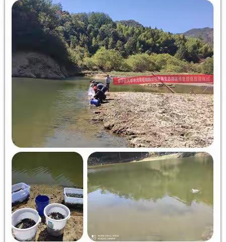泰宁：开展生态环境损害赔偿增殖放流活动