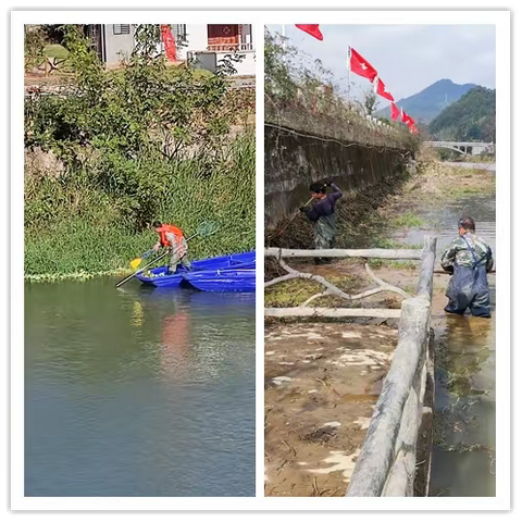 泰宁县大田乡生态综合管护：护河不停歇，河道焕新颜