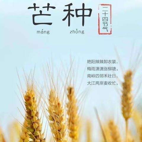 芒种芒种，幸福播种--商水县实验幼儿园小三班