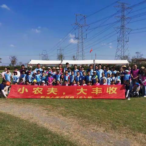 “小农夫大丰收，田间大作战”记紫微小学三6班活动