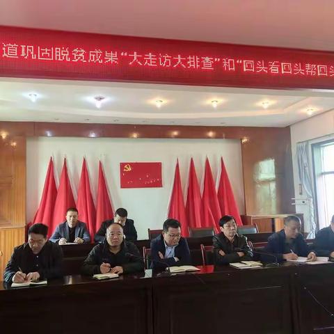 零口街道扎实开展脱贫攻坚成果巩固拓展“大走访大排查”和“回头看回头帮回头补”工作